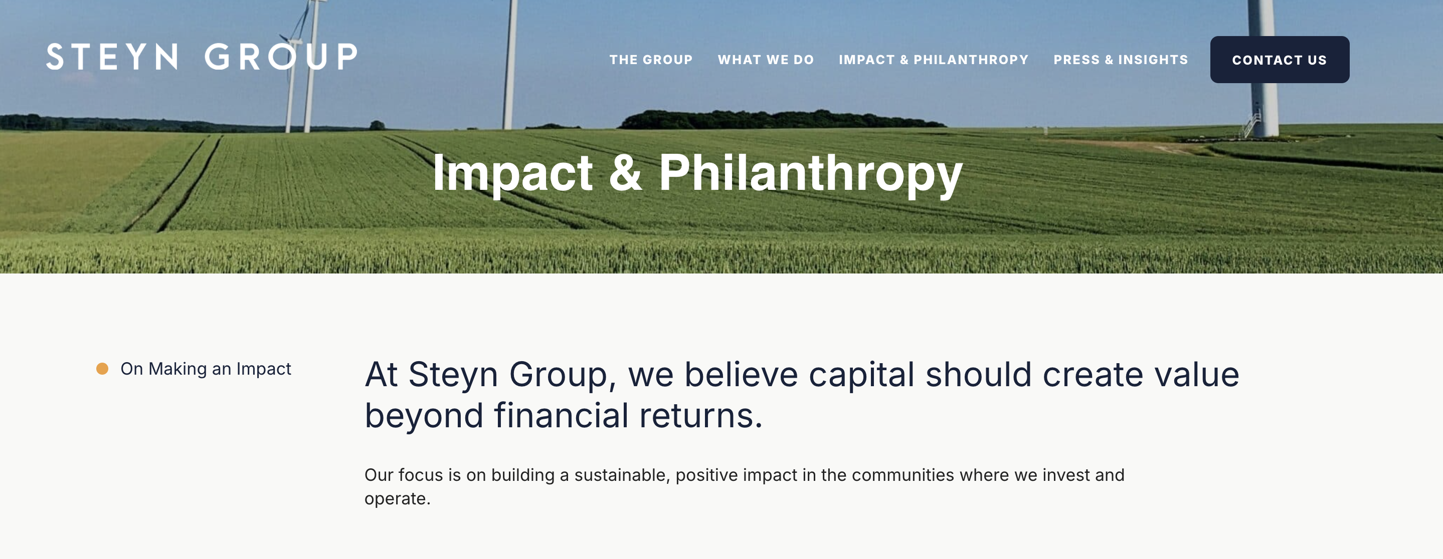 Screenshot from Steyn Group's Impact & Philanthropy page showing their claim about building sustainable positive impact